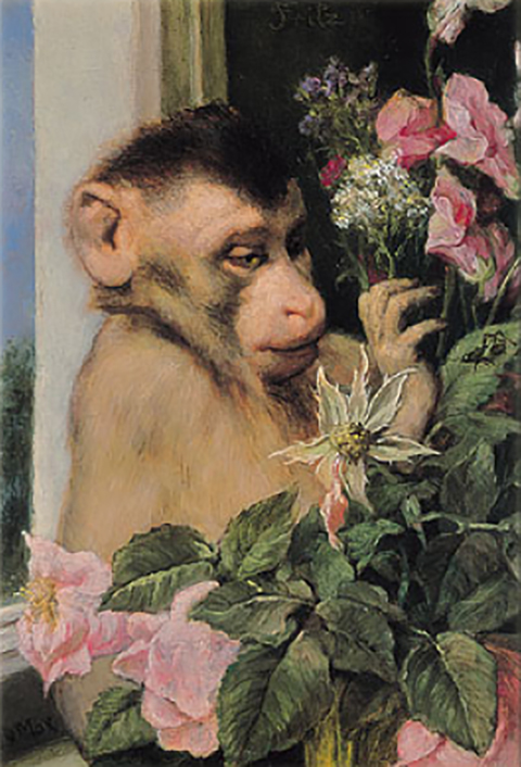 Een aap naast bloemen aan een venster.