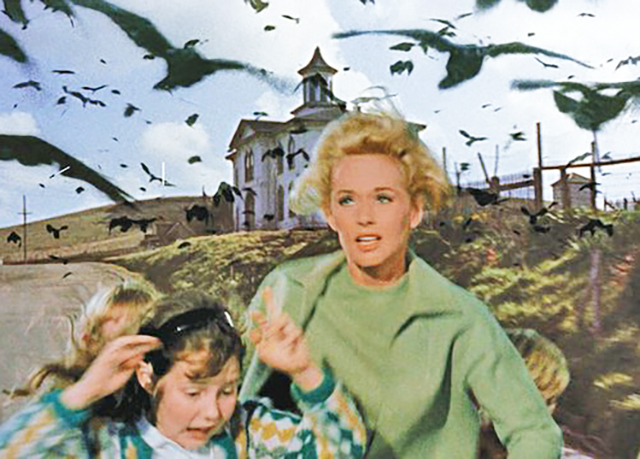 Still uit de film, waarop de vrouw en de kinderen door de vogels worden aangevallen.