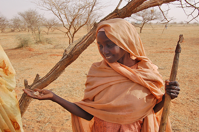Een Ethiopische vrouw met een stuk mastiek in haar hand.