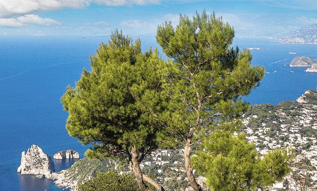 Het eiland Capri en de zee.