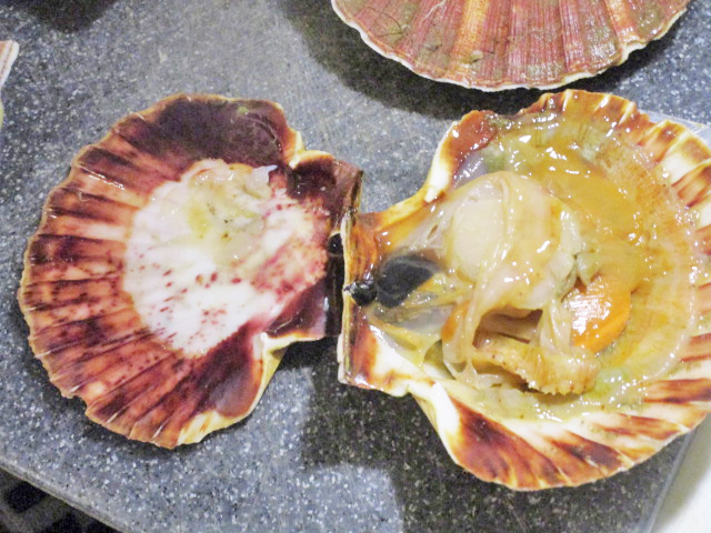 Geopende coquilles.