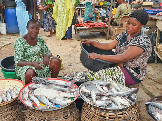 Visvrouwen op de markt in Lagos.