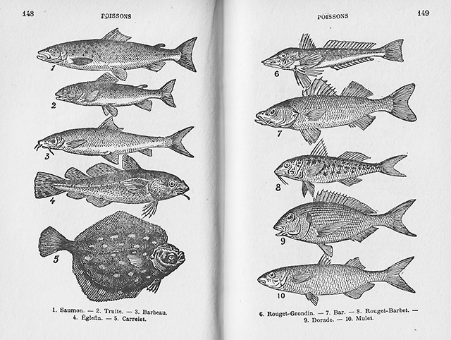 Een plaat met verschillende vissen, in een oud Frans kookboek.